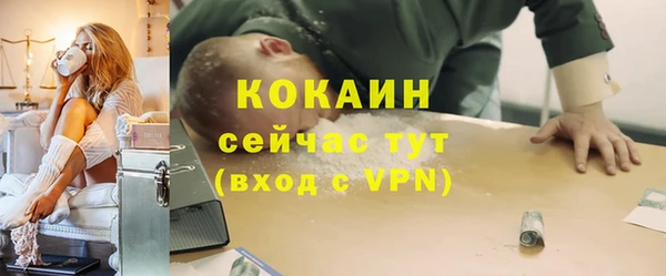 мдпв Рославль