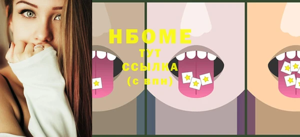 мдпв Рославль