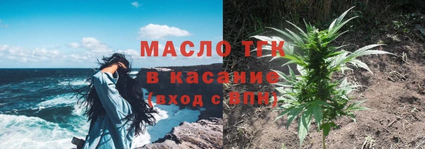 мдпв Рославль